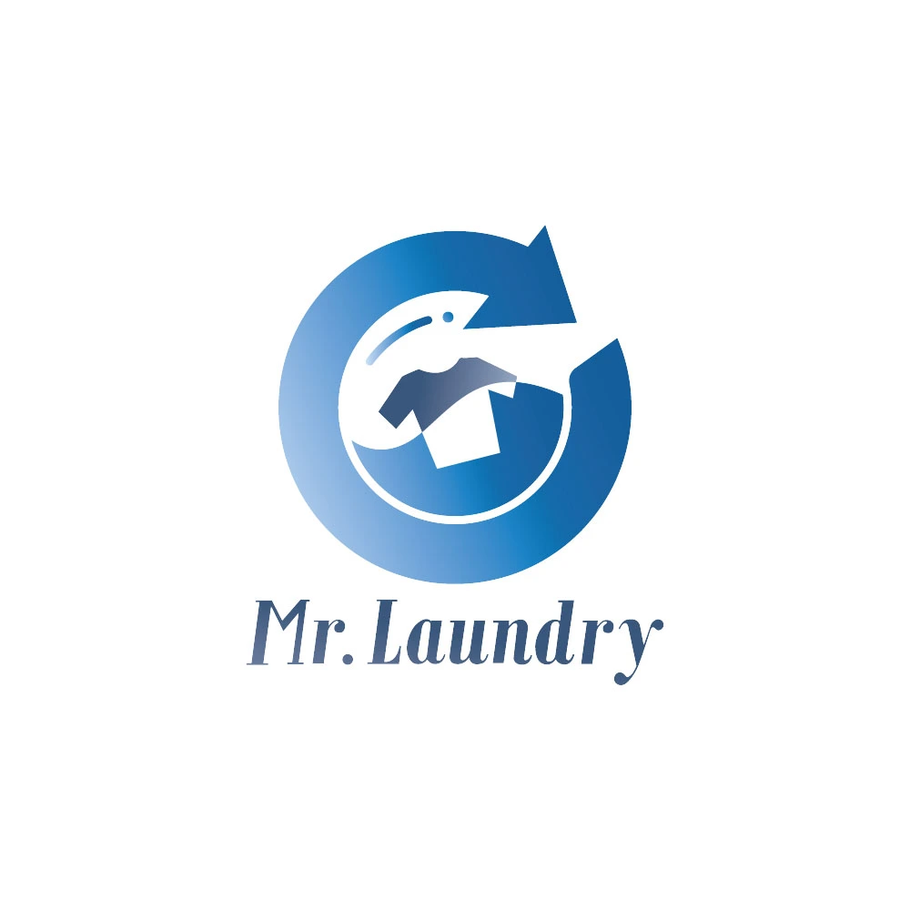 Mr. Laundry